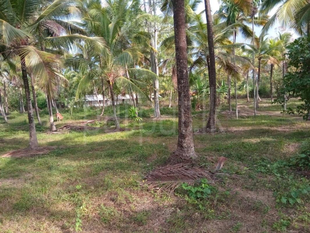 Seasonal Room for Sale in Badalgama