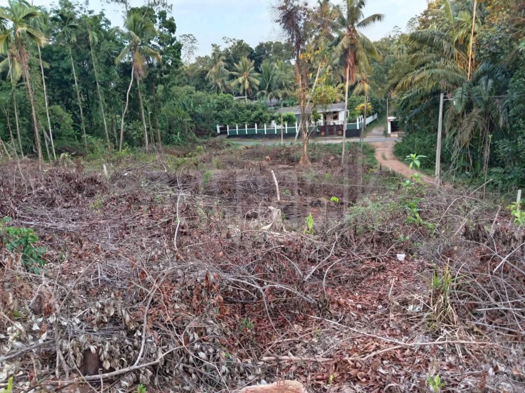 Commercial Land for Sale in Horana