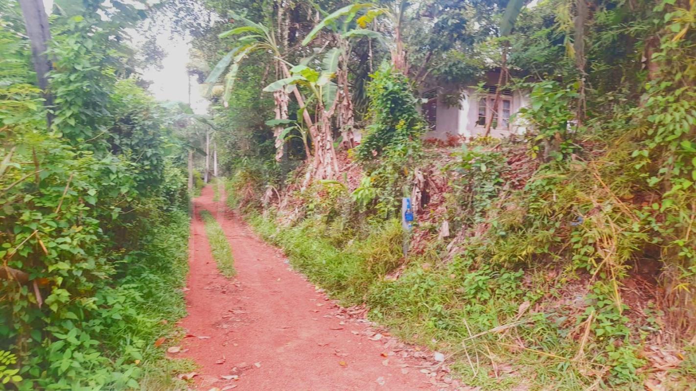 Agricultural Land for Sale in Kirindiwela