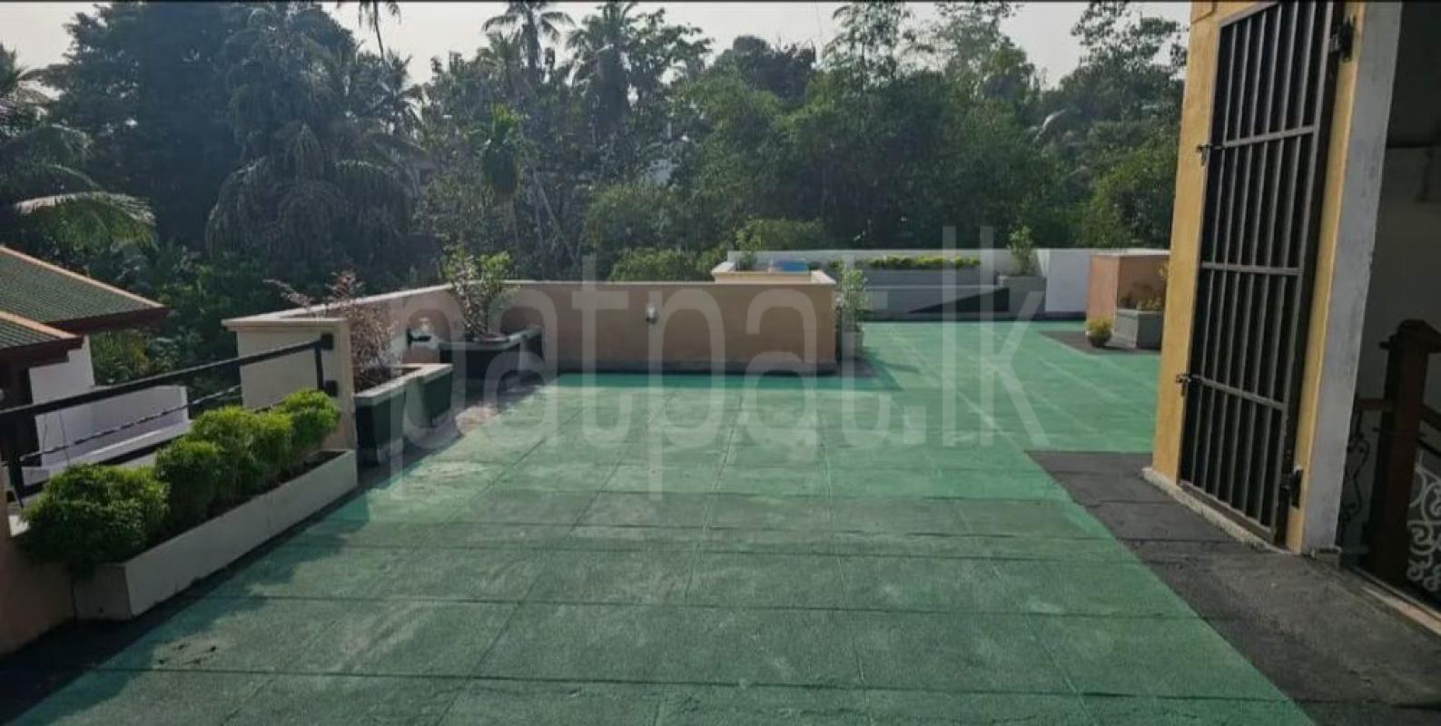 Advertisement image 5