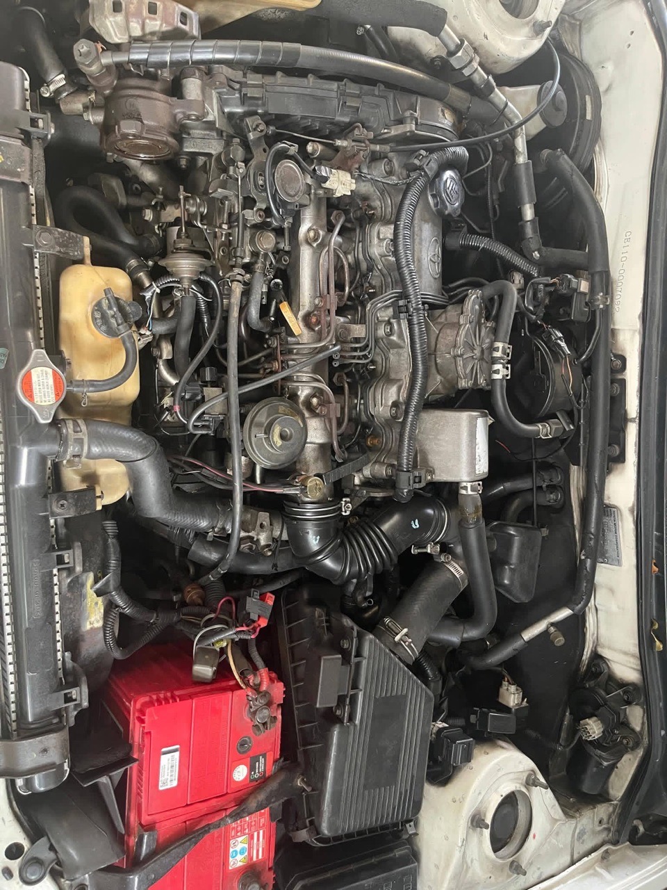 Advertisement image 6