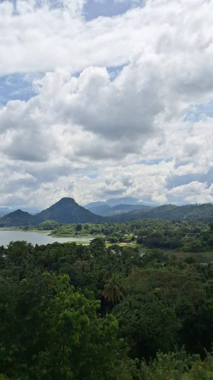 Commercial Land for Sale in Rajawella ads-image-1