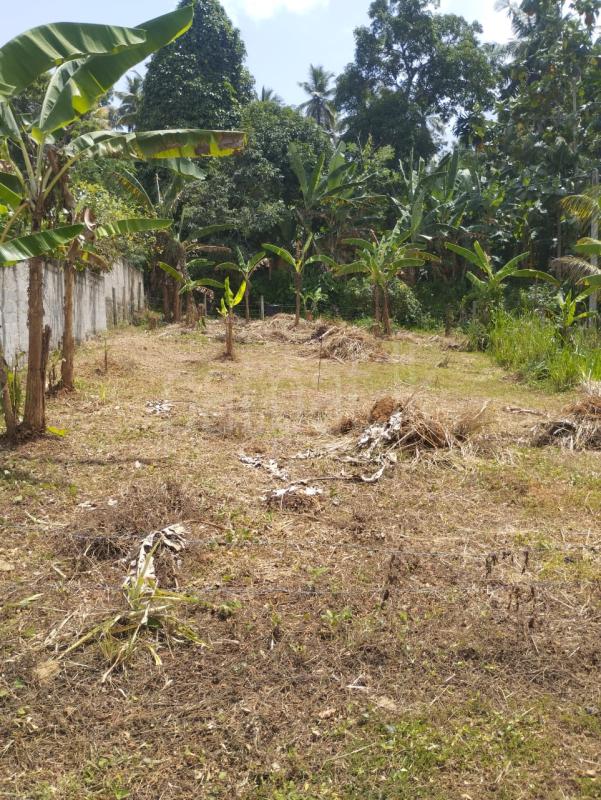 Commercial Land for Sale in Rambukkana