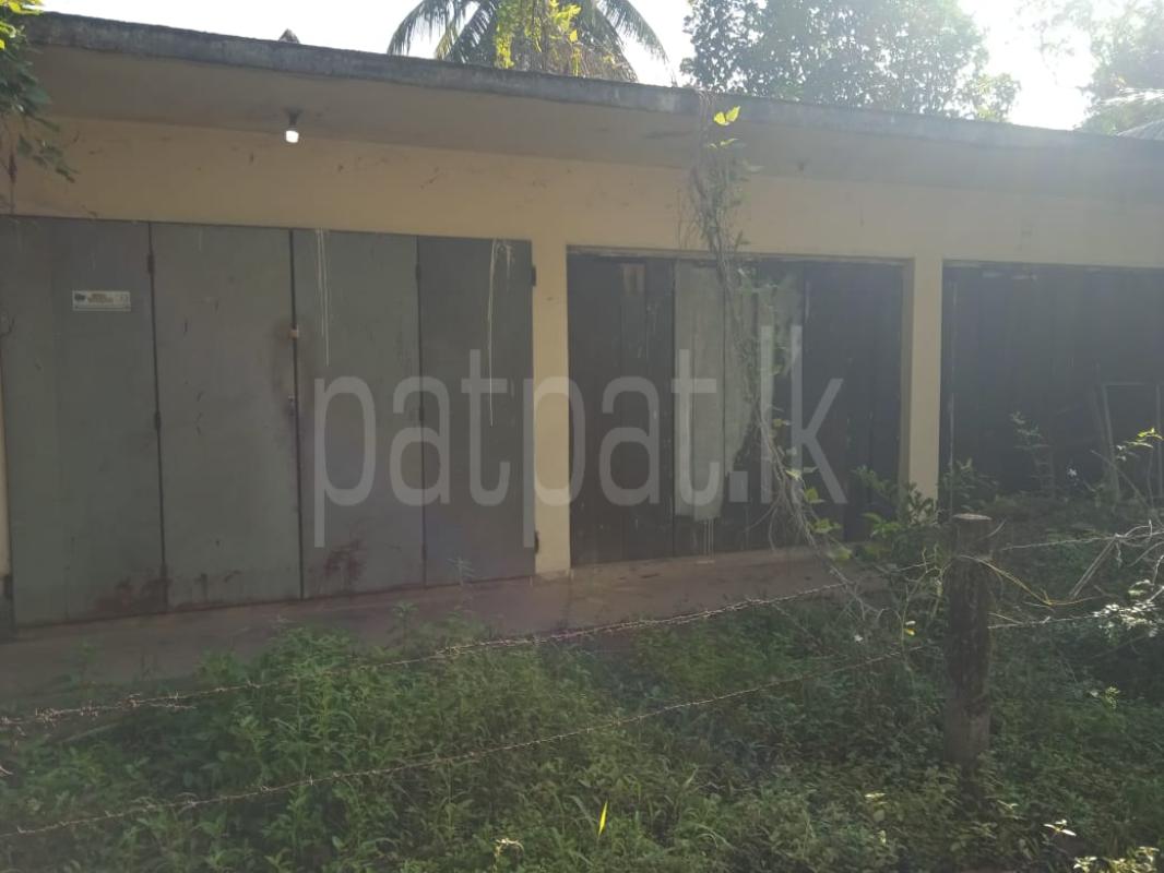 Advertisement image 6