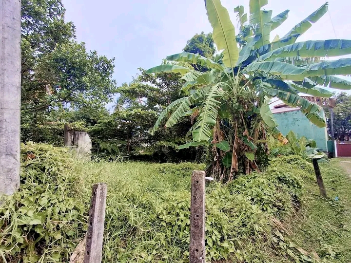 Residential Land for Sale in Panadura