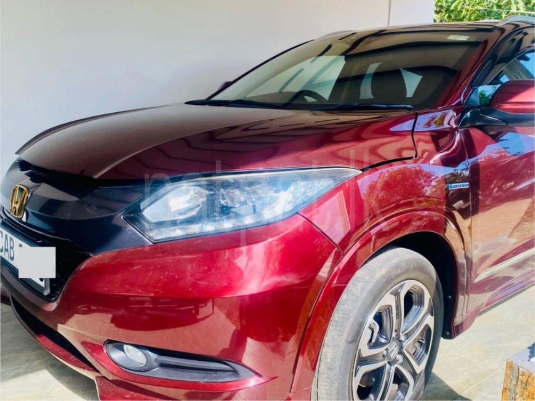 Advertisement image 2