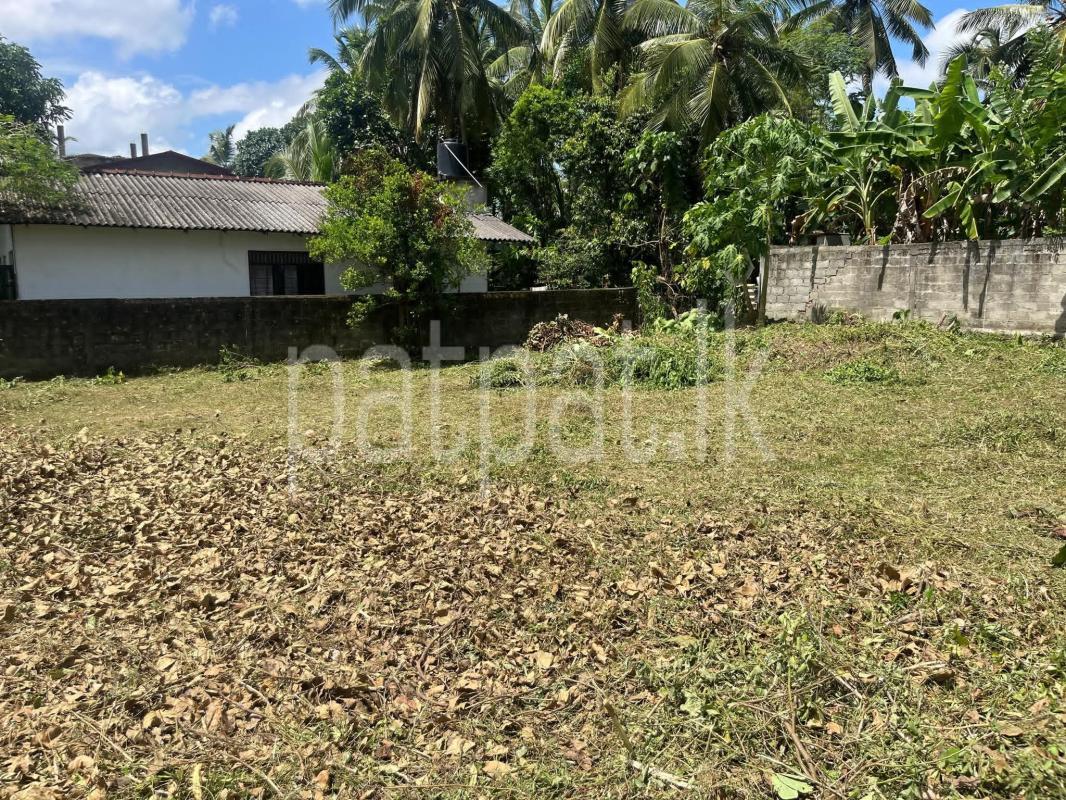 Residential Land for Sale in Kadawatha