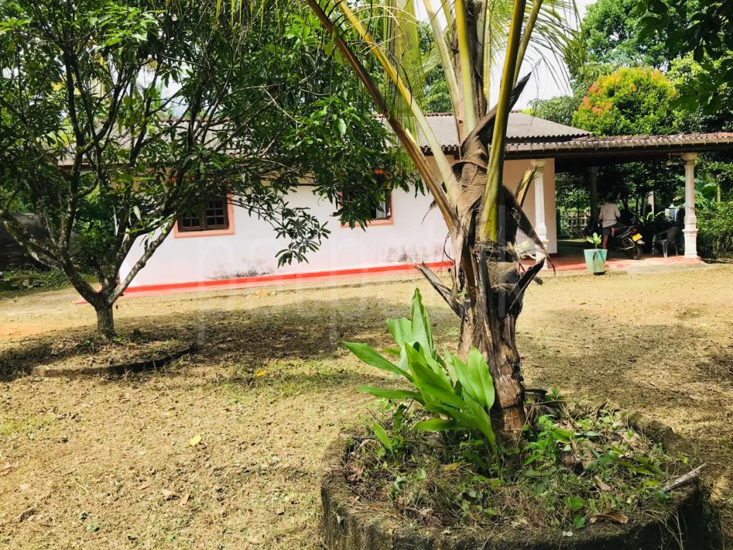House for Sale in Horana