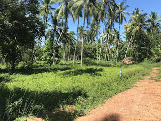 Residential Land for Sale in Udubaddawa