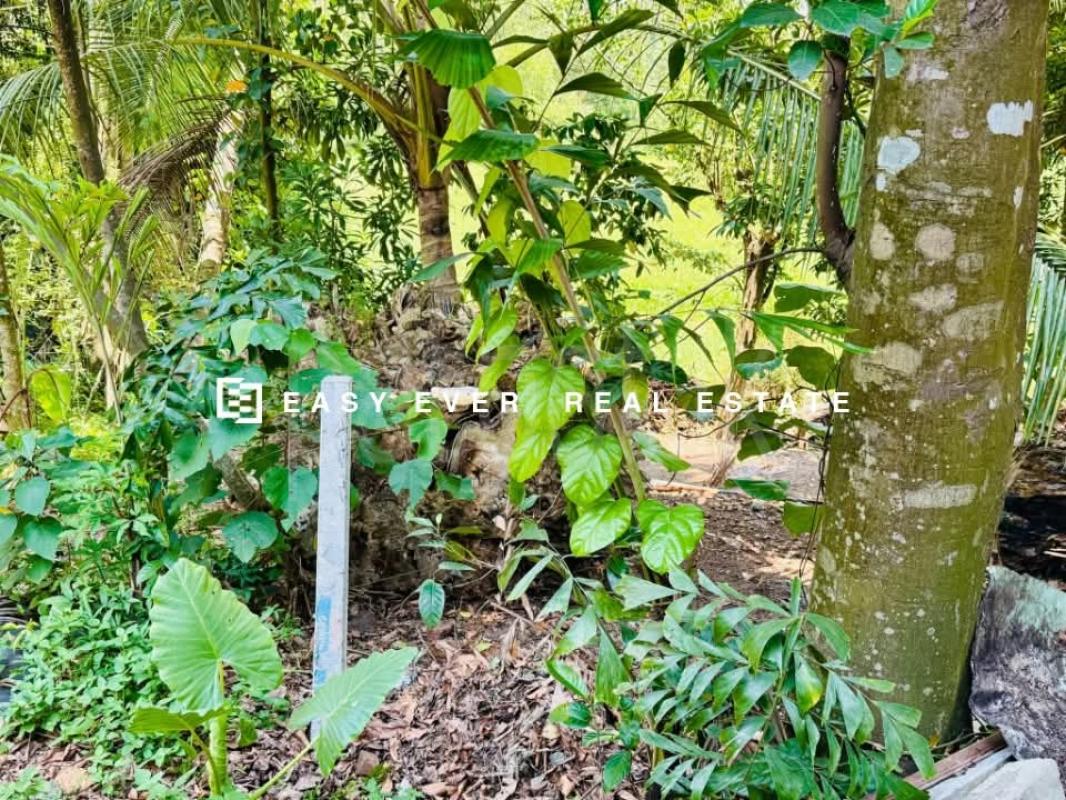Residential Land for Sale in Udugampola