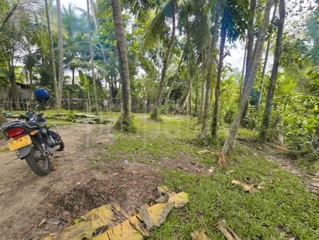 Agricultural Land for Sale in Kadawatha
