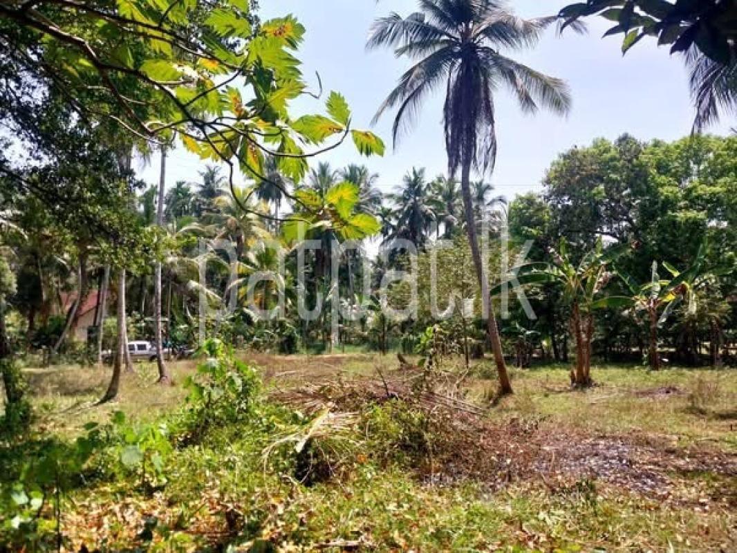 premium-listing-image