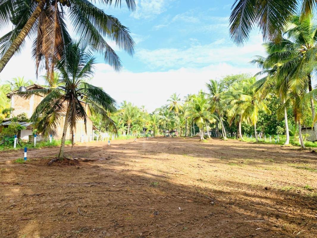 Residential Land for Sale in Wadakada