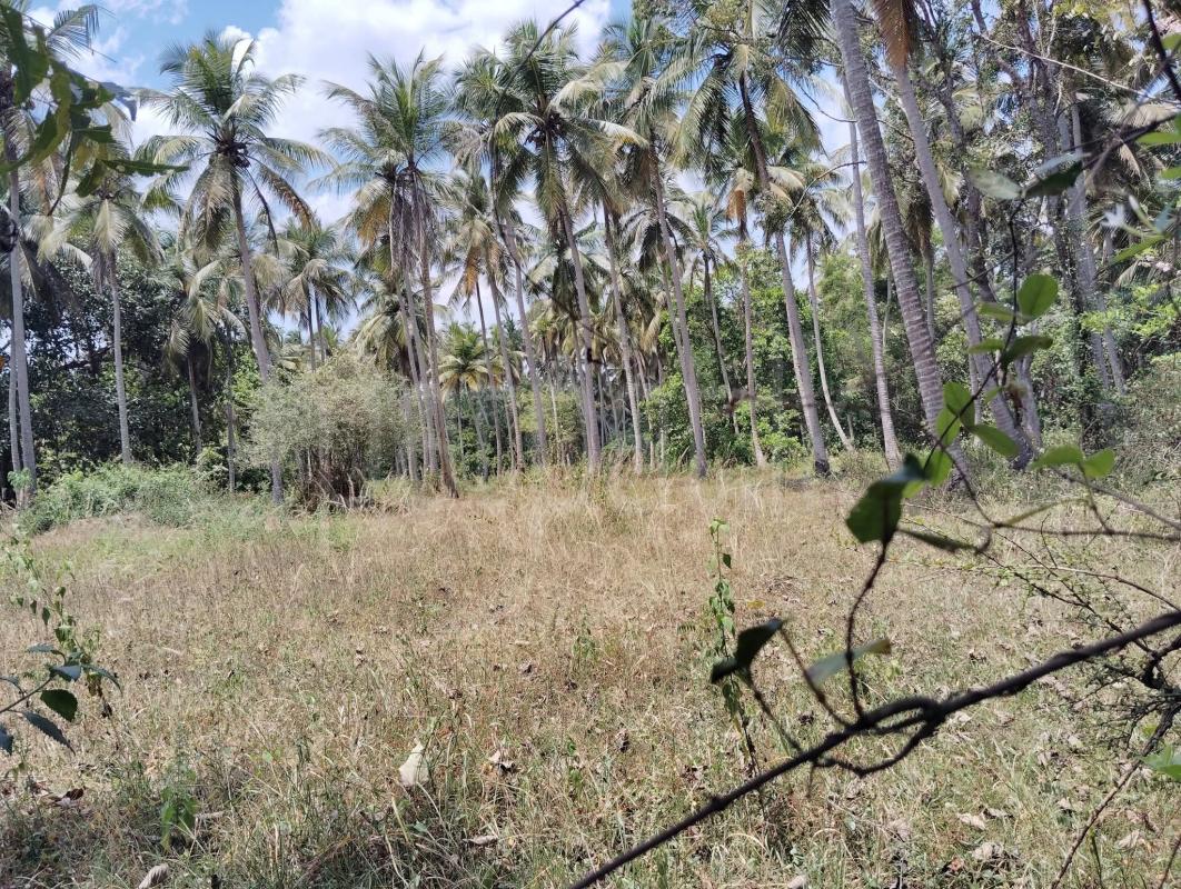 Agricultural Land for Sale in Kurunegala