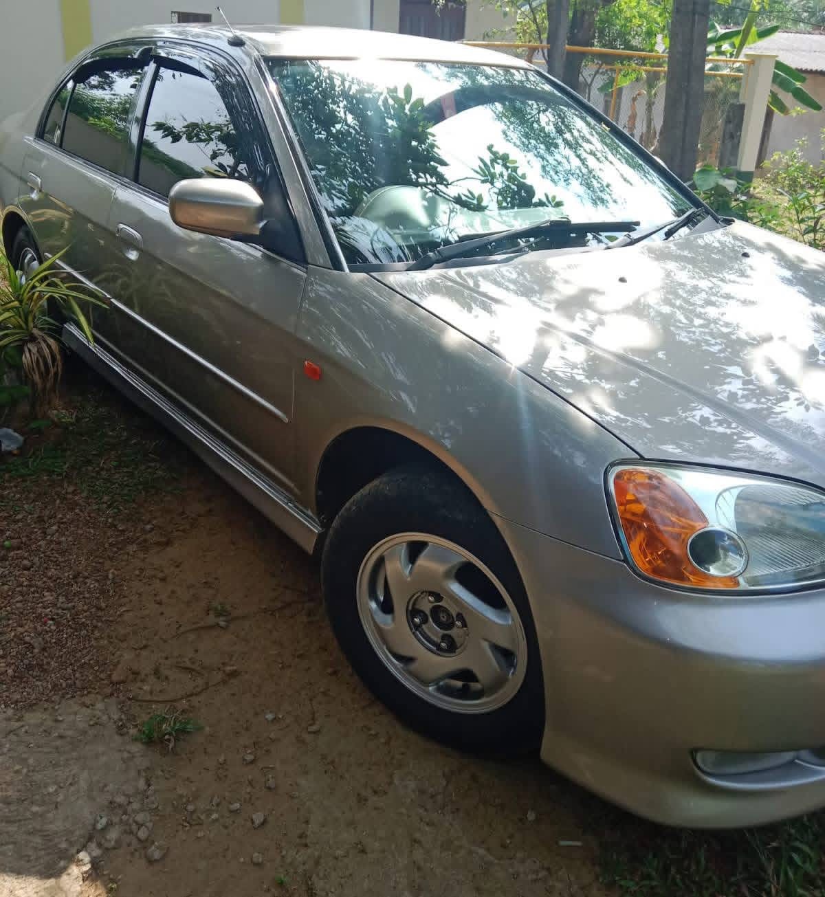 Advertisement image 4