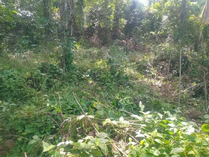 Residential Land for Sale in Badulla