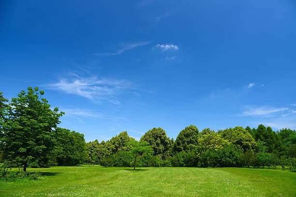 Residential Land for Rent in Maharagama
