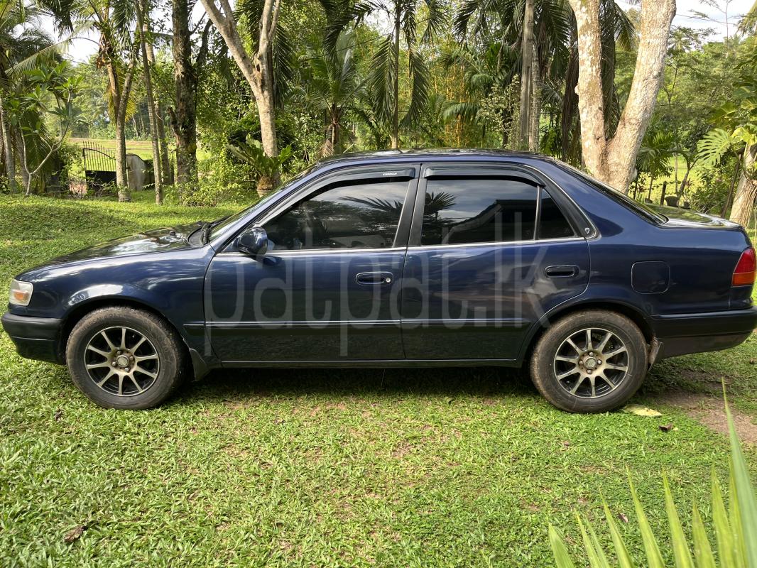 Toyota Corolla 1996 - பயன்படுத்தப்பட்டது கார் sale in Sri Lanka - patpat.lk