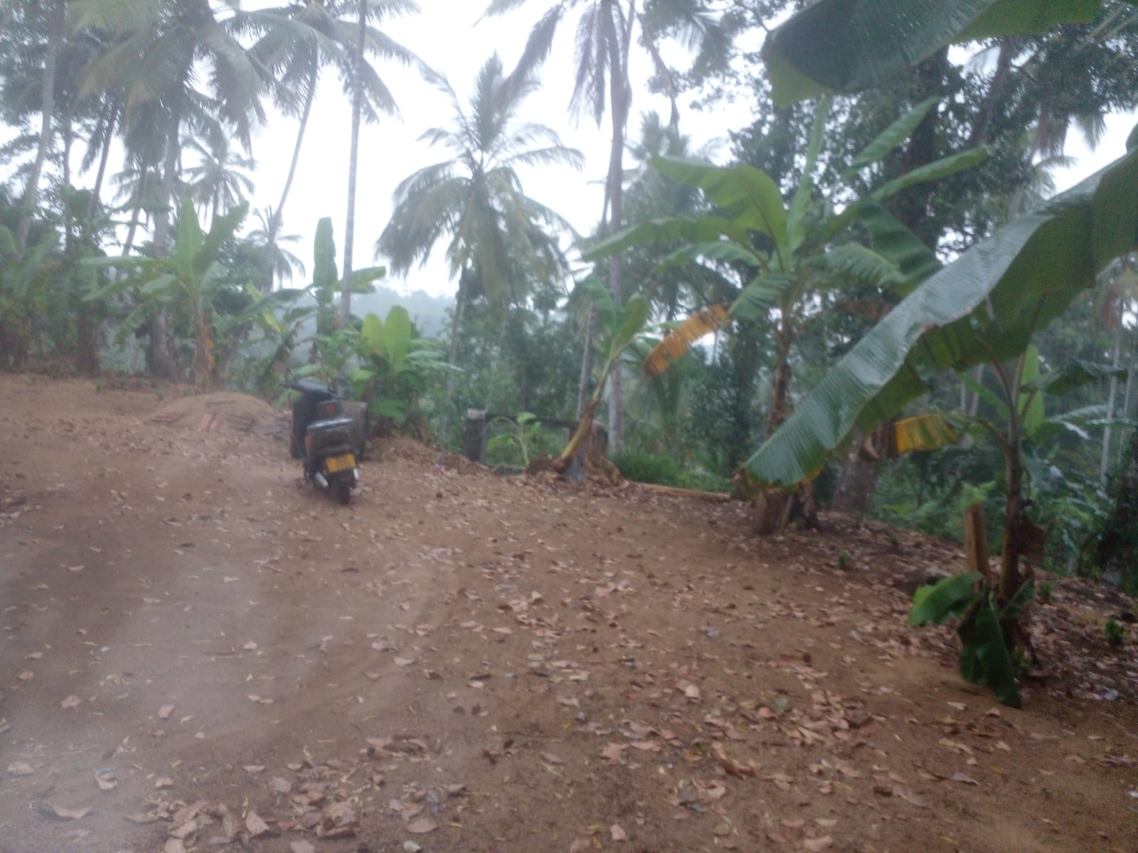 Agricultural Land for Sale in Beliatta