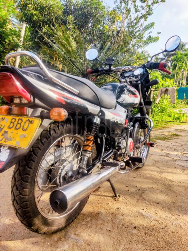 Advertisement image 5