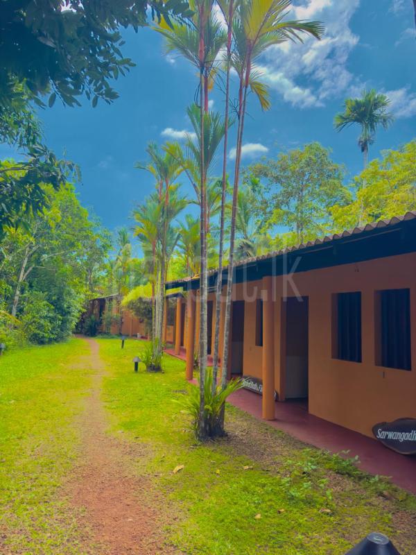 Residential Land for Sale in Benthara