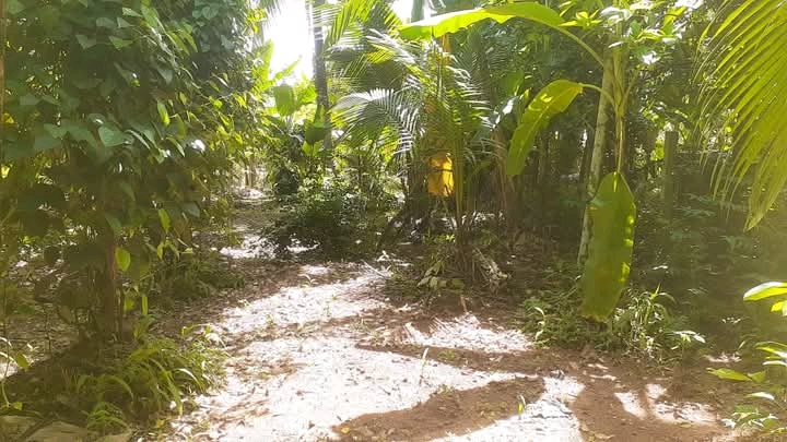 Commercial Land for Sale in Kadawatha
