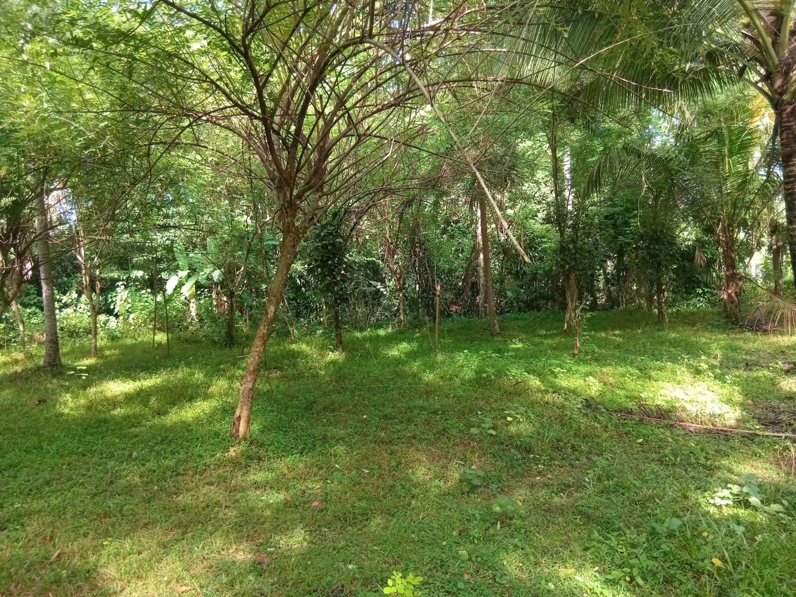 House for Sale in Divulapitiya