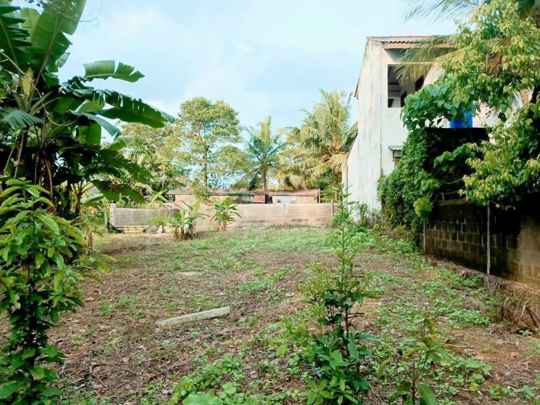 Residential Land for Sale in Weboda