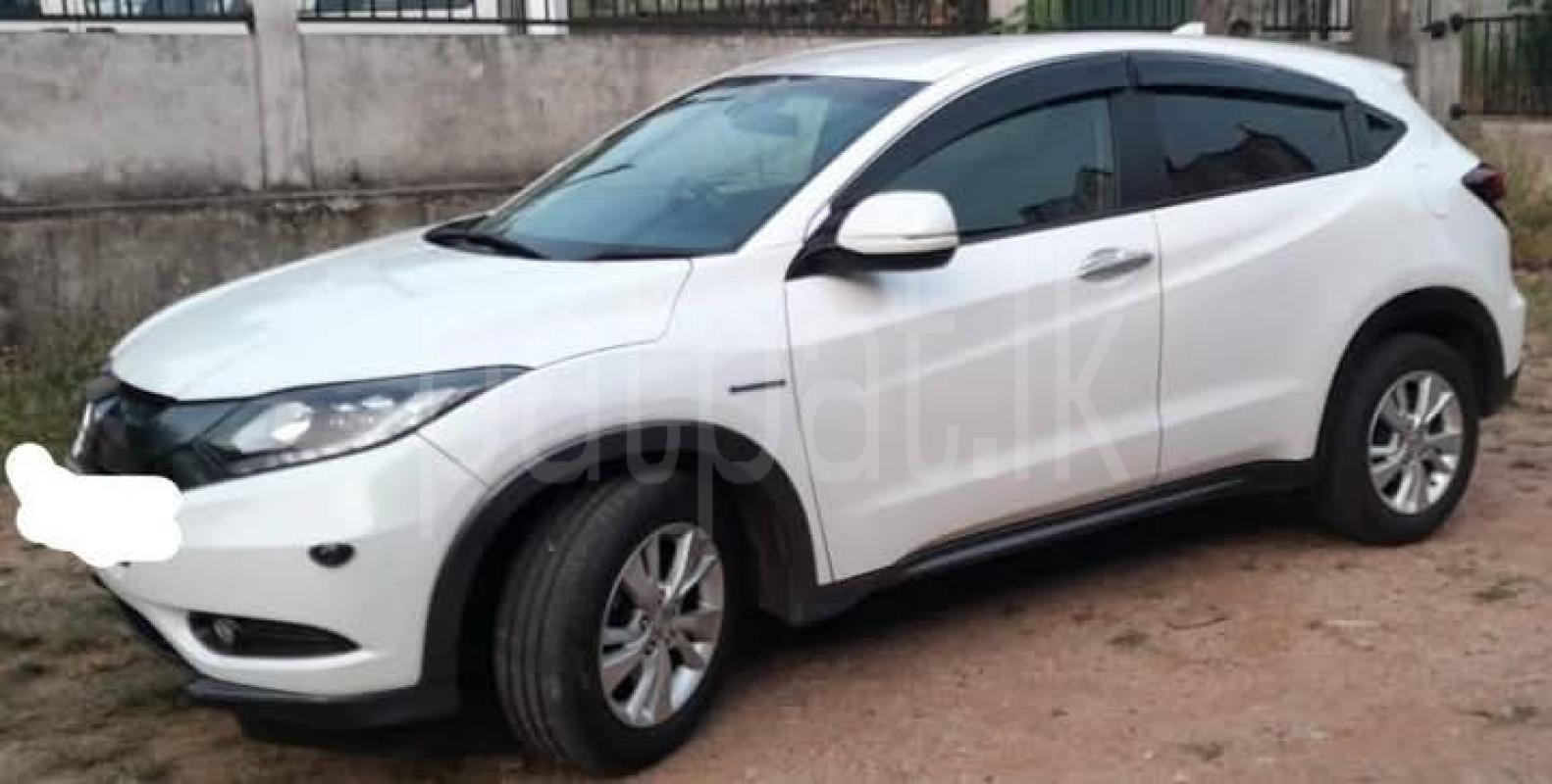 Advertisement image 3