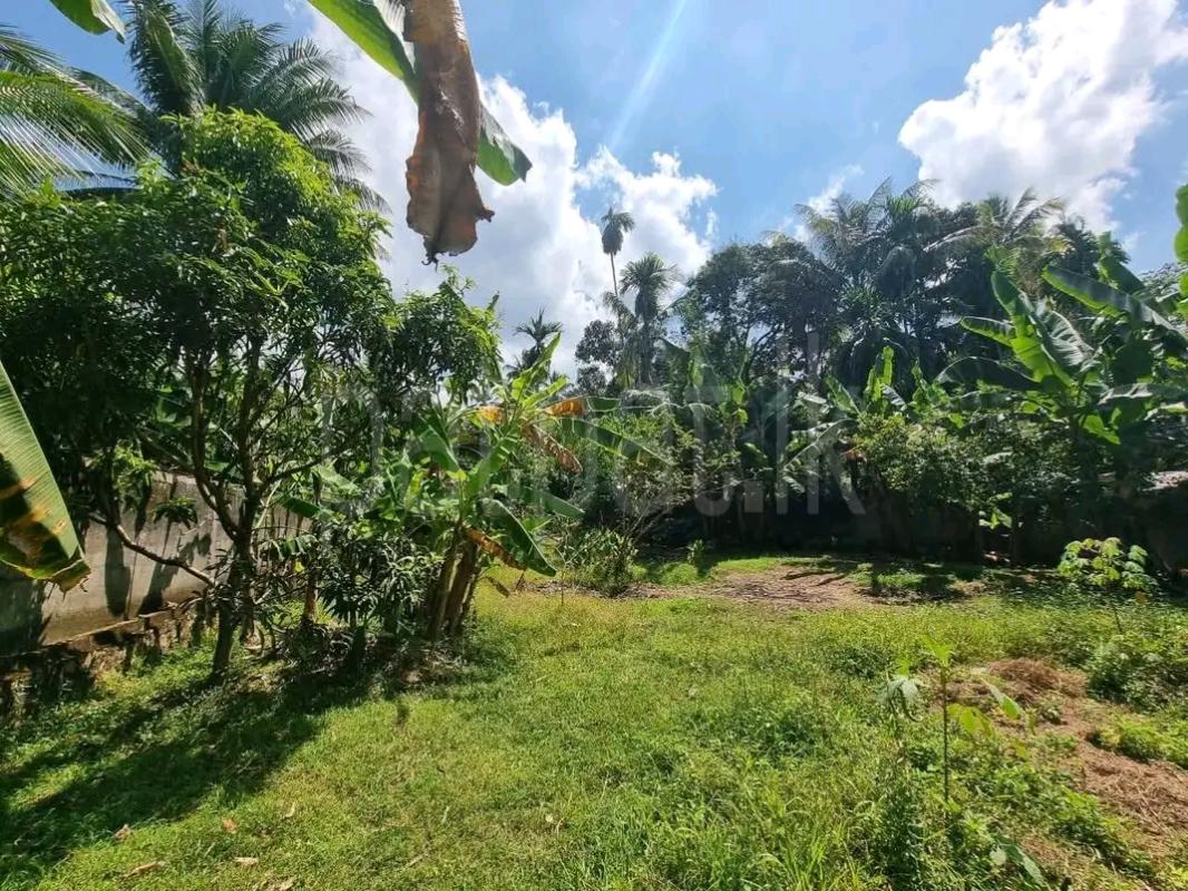 Agricultural Land for Sale in Horana
