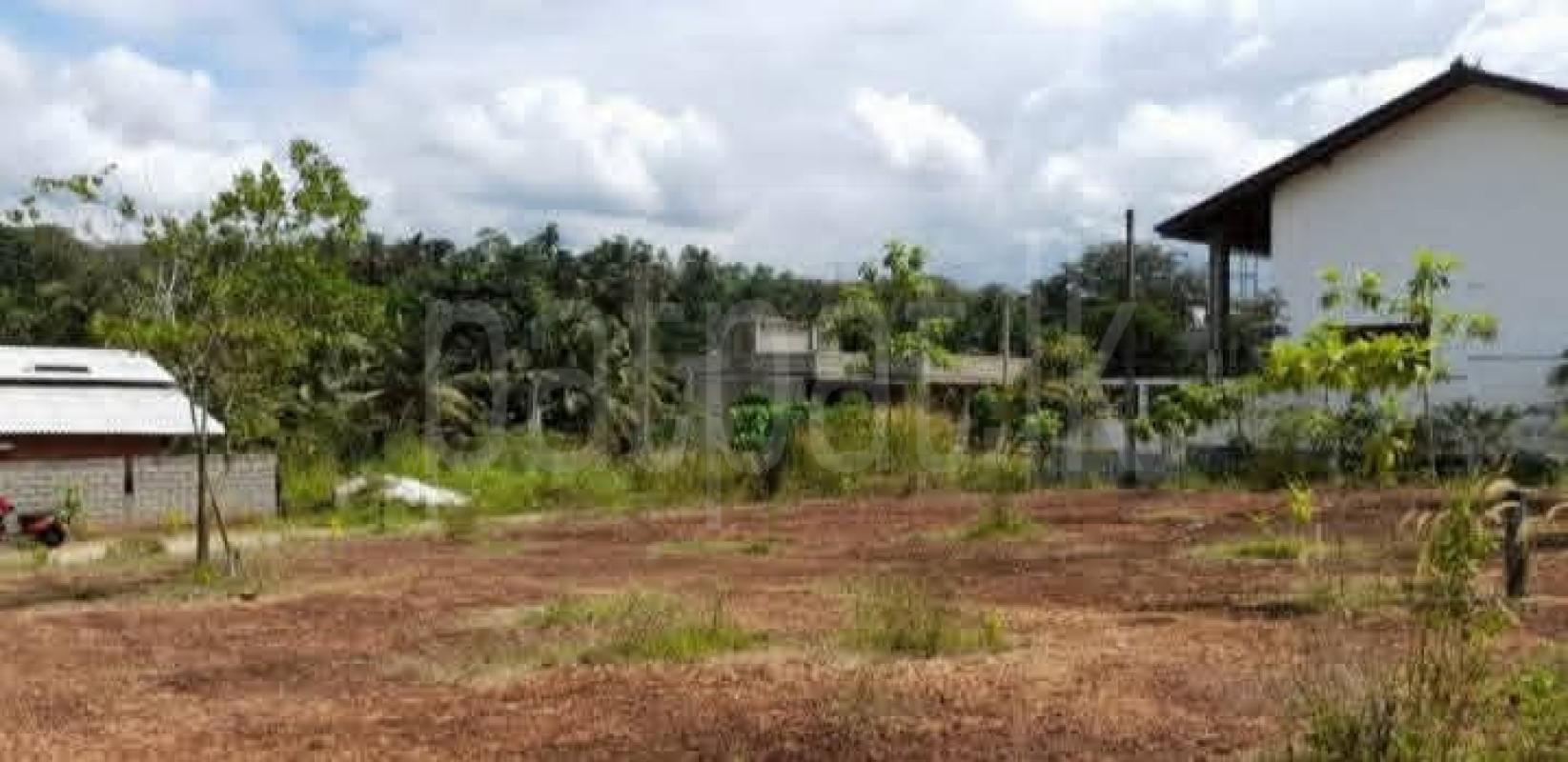Residential Land for Sale in Homagama
