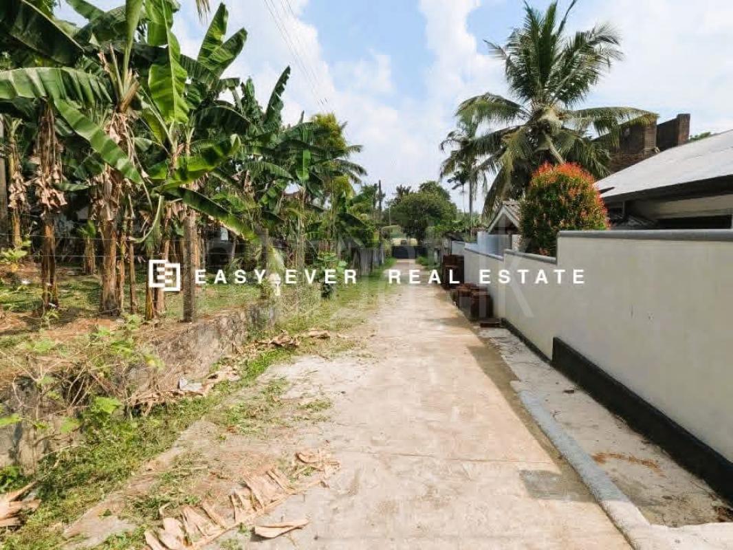 Residential Land for Sale in Weliveriya