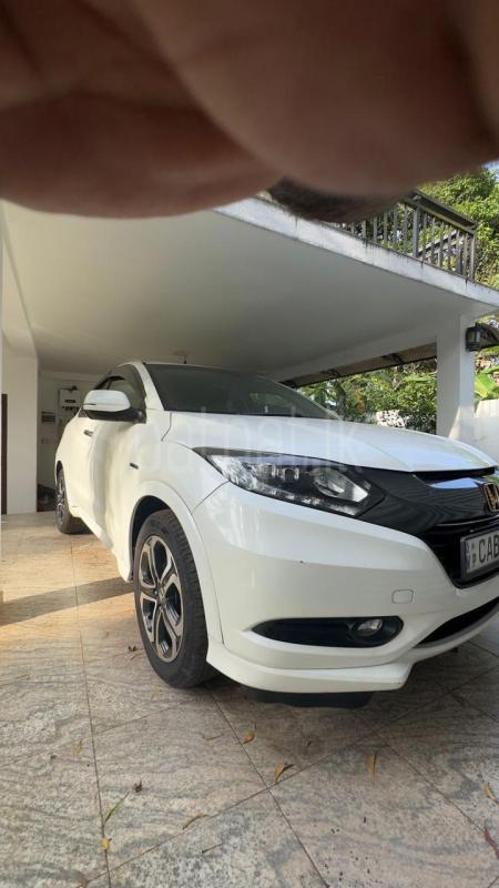 Advertisement image 3