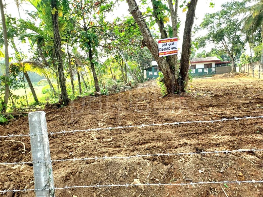 Residential Land for Sale in Ankokkawala
