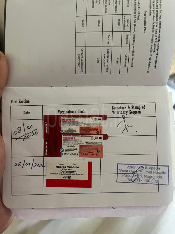 Advertisement image 5