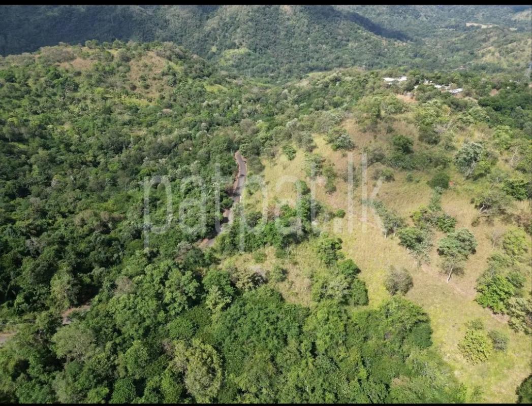 Residential Land for Sale in Ella