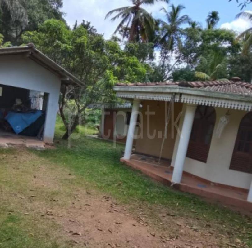 premium-listing-image