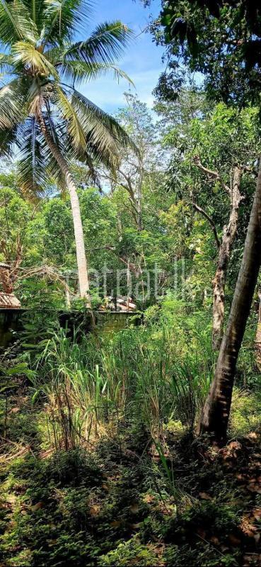 Residential Land for Sale in Sella Kataragama
