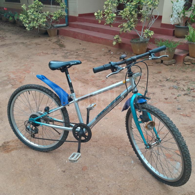 Advertisement image 3