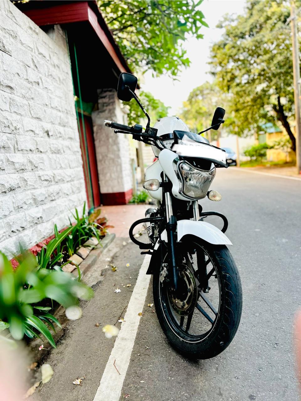 Bajaj V15 2016 - Used Bike sale in Sri Lanka - patpat.lk