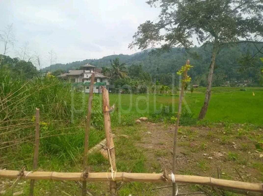 Agricultural Land for Sale in Badulla ads-image-1