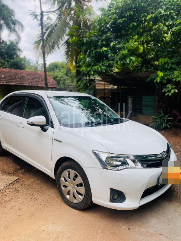 Advertisement image 3