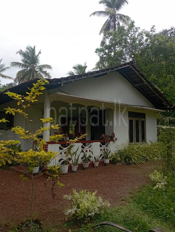 House for Sale in Ja-Ela