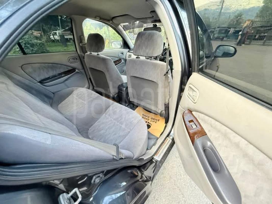 Advertisement image 5