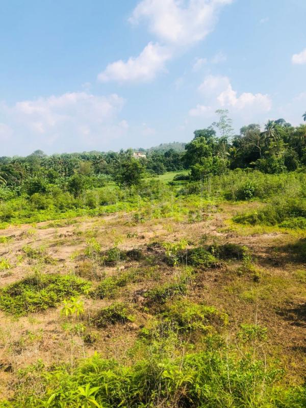 Commercial Land for Sale in Meegoda ads-image-1
