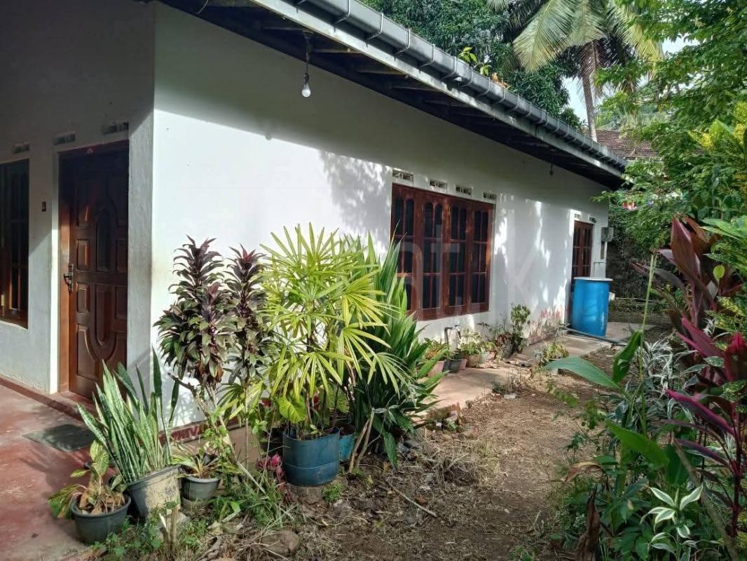 Residential Land for Sale in Beliatta