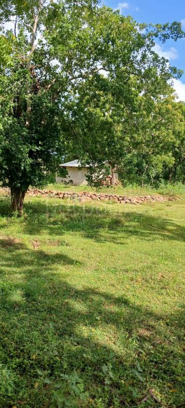 Residential Land for Sale in Kataragama