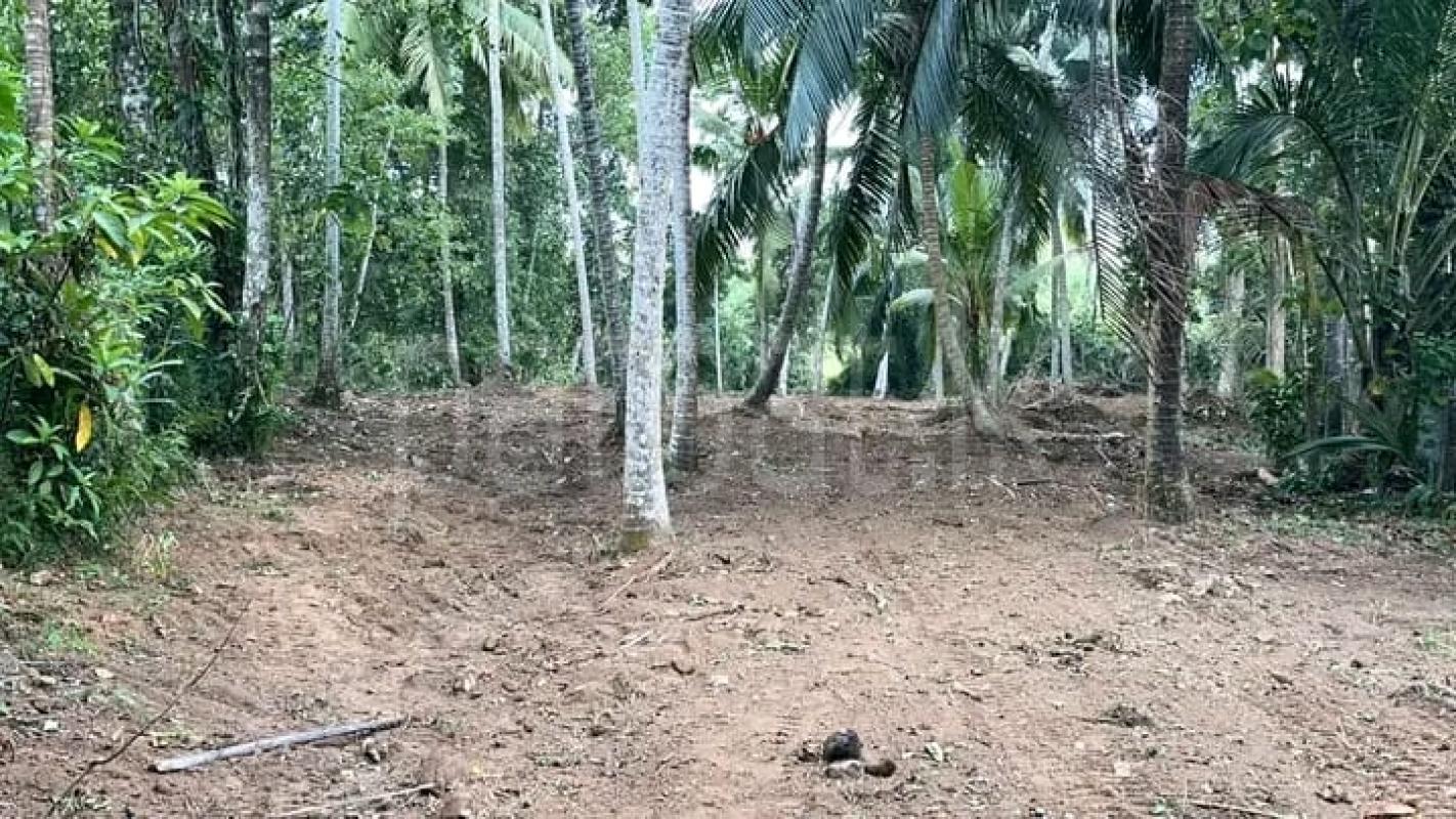 Commercial Land for Sale in Bandaragama ads-image-1