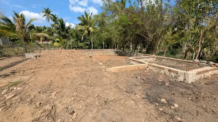 Commercial Land for Sale in Giriulla
