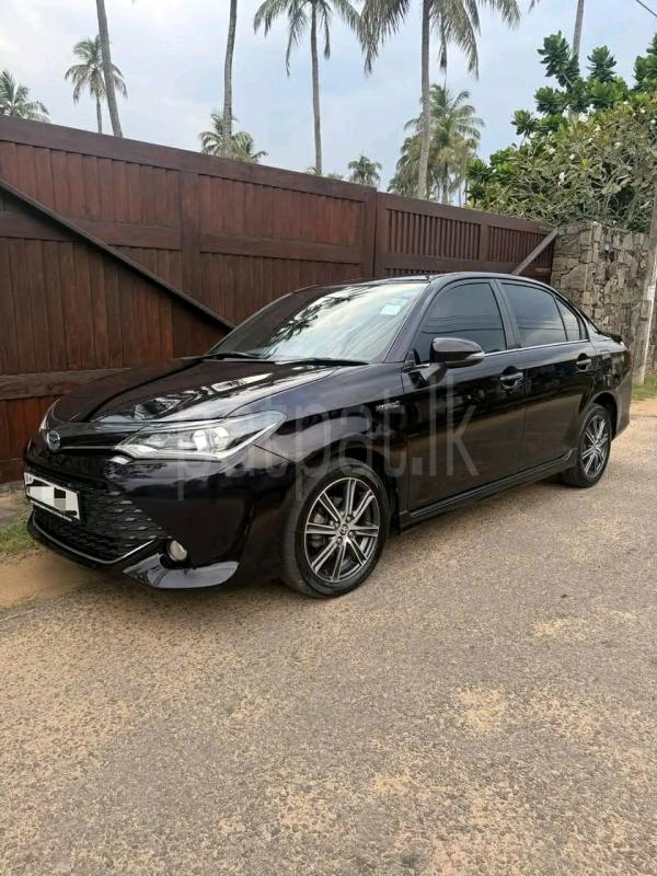 Advertisement image 3